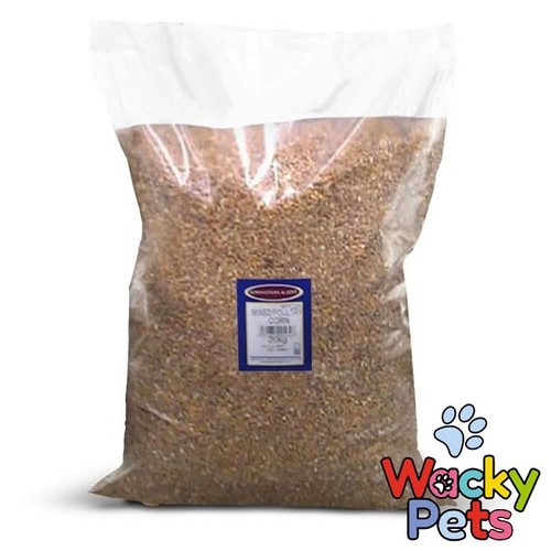 Pigeon food corn - food, &