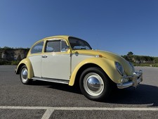 VW Beetle 1965
