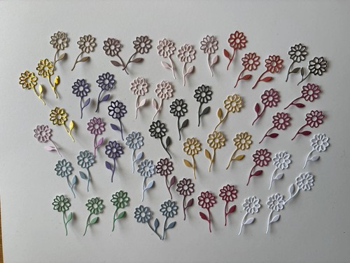 Flower die cut - flower,