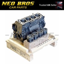 OE Engine Block & Pistons