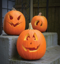 10 Jack O Lantern Pumpkin