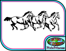 Horse Riding Equestrian Horses