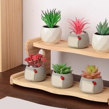 Plant Stand Display Riser