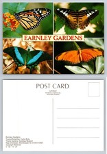 Earnley Gardens. Tropical Butterflies. Near Chichester, West Sussex