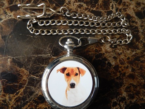 Jack russell chrome pocket - jack,