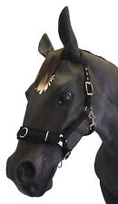 Official Libby' s Lunge