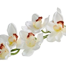 Real Touch Large Cymbidium