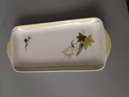 Vintage burleigh ware burgess - vintage,