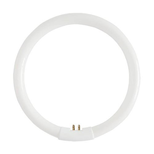 22w circular fluorescent - fluorescent, t5