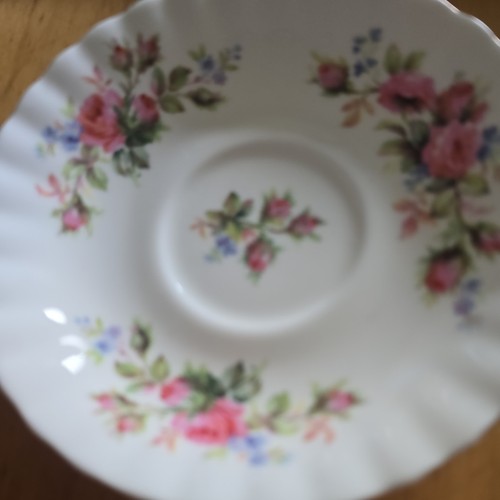 Royal albert moss rose - royal,