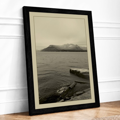 Driftwood shore minimalist - driftwood,