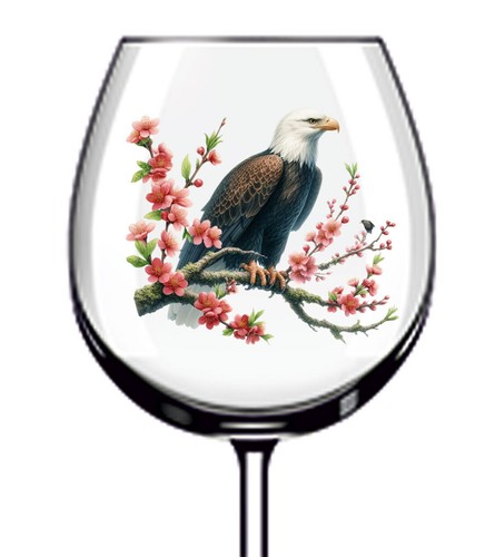 12x cute bald - bald, eagle