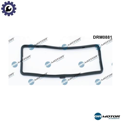 Gasket cylinder head cover - cylinder,