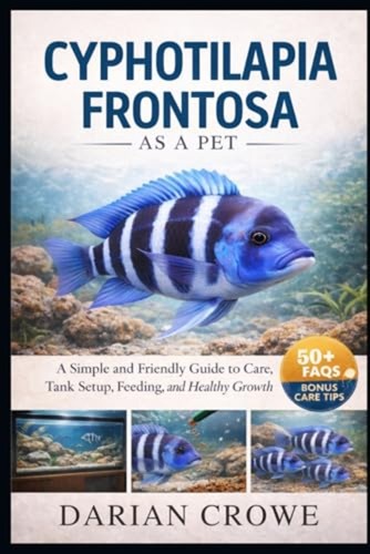 Cyphotilapia frontosa a - cyphotilapia, as
