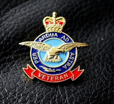 REMEMBRANCE RAF VETERAN enamel