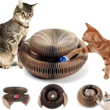 Magic cat scratch organ - scratch, board