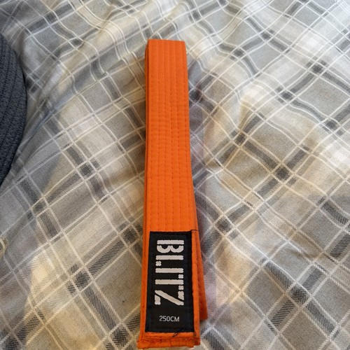 Martial arts belt orange - martial,