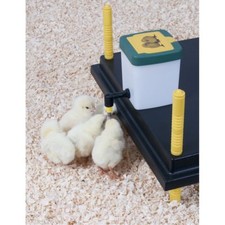 Comfort chick brooder heat - comfort,