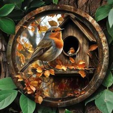 AUTUMN ROBIN & BIRD BOX WALL