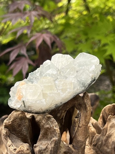 White apophyllite cluster bed - apophyllite,