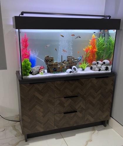 Fish tank immaculate - tank, in