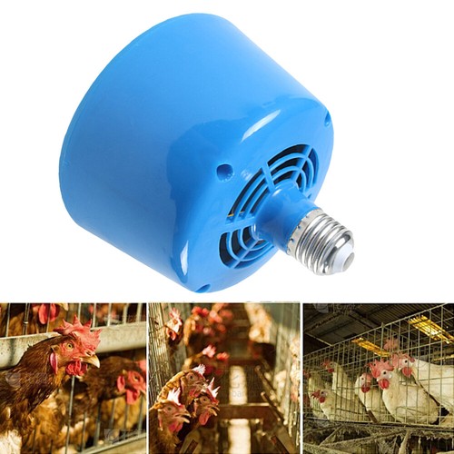 Heat lamp bulb - heat,