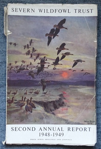 Severn wildfowl trust second - wildfowl,