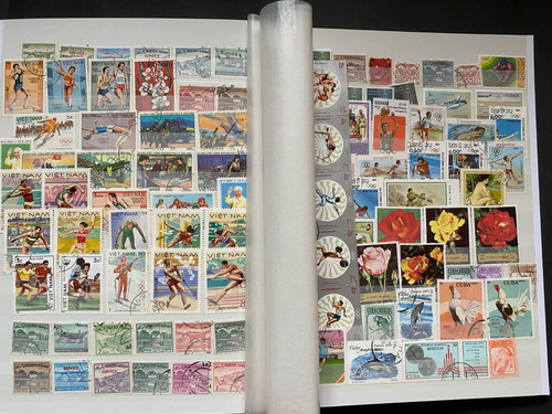Prophila stamp stock - prophila,