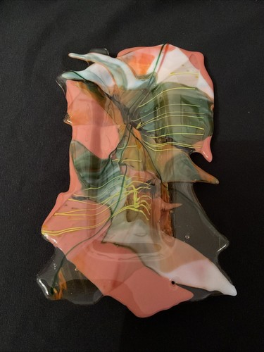 Freeform glass dish multi - dish,