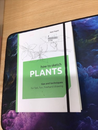 How sketch plants tips - plants:,