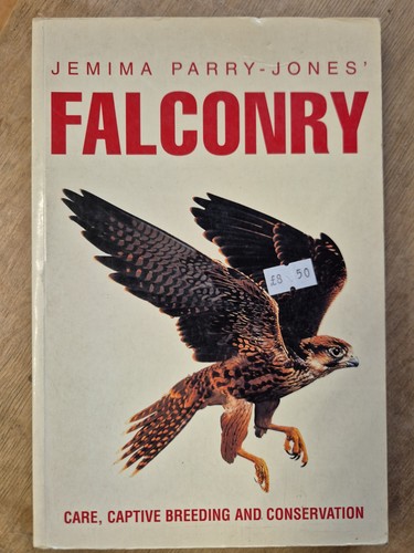 Jemima parry jones falconry - jemima,