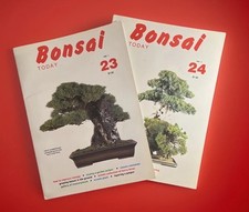 Lot Of 2 Bonsai Today