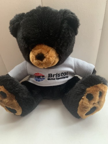Nascar bristol motor - nascar,