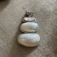 Large Iridescent Nautilus