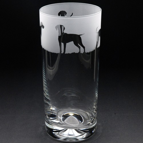 Hungarian vizsla dog highball - dog,