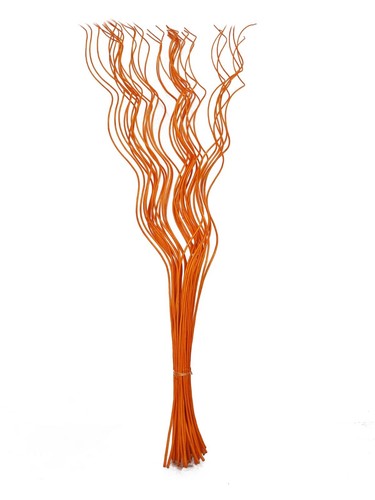 Spiral corkscrew curly willow - corkscrew,