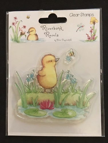 Cute duck duckling bee - , pond