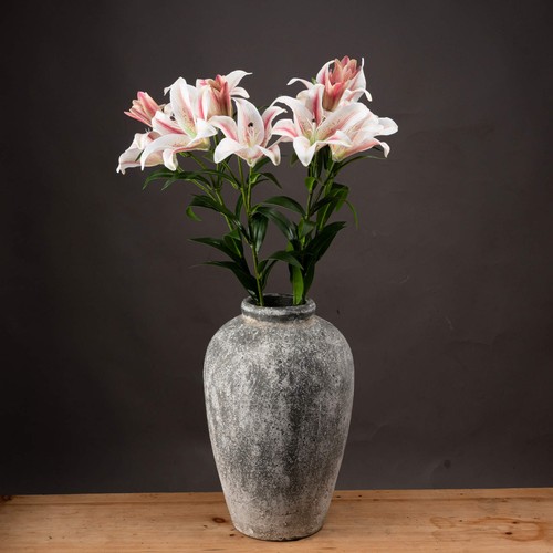 White stargazer lily - white,