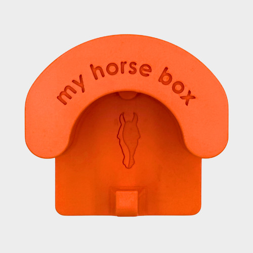 Magnetic bridle holder with - bridle,