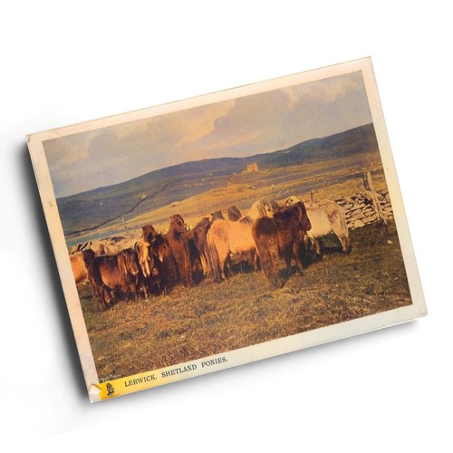 Print vintage scotland - a6,