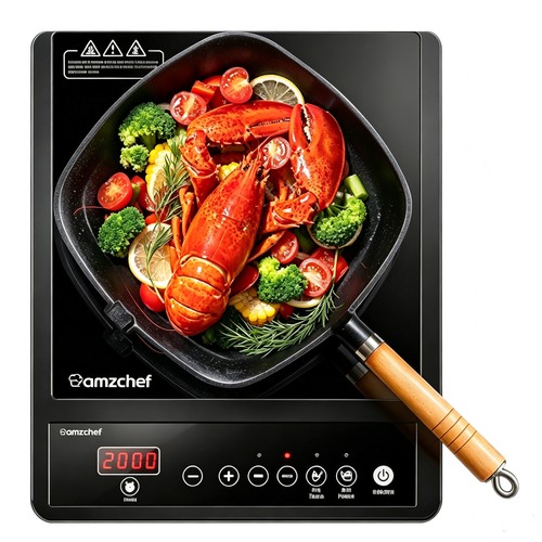Portable induction hob - portable,