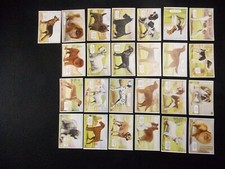 Ardath Cigarette Cards