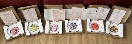 Royal albert queen - royal,
