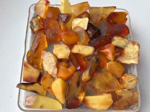 51gr natural baltic amber - natural,