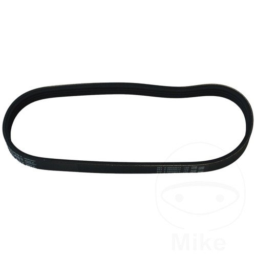 Alternator drive belt - alternator,