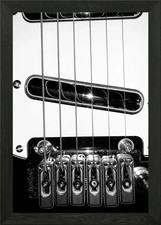 Danelectro 84 Start Framed