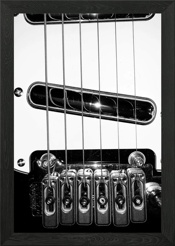 Danelectro start framed - start,