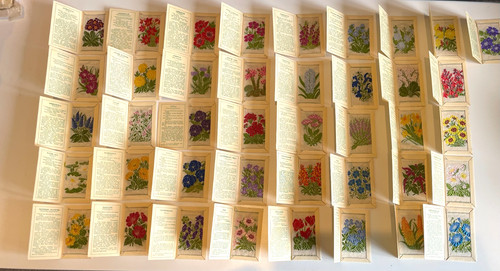 Full set kensitas silk - full,