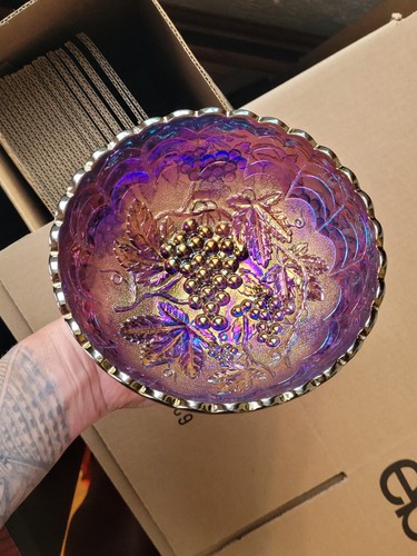 Sweet purple imperial carnival - purple,