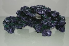 Stunning aquarium large coral - aquarium,